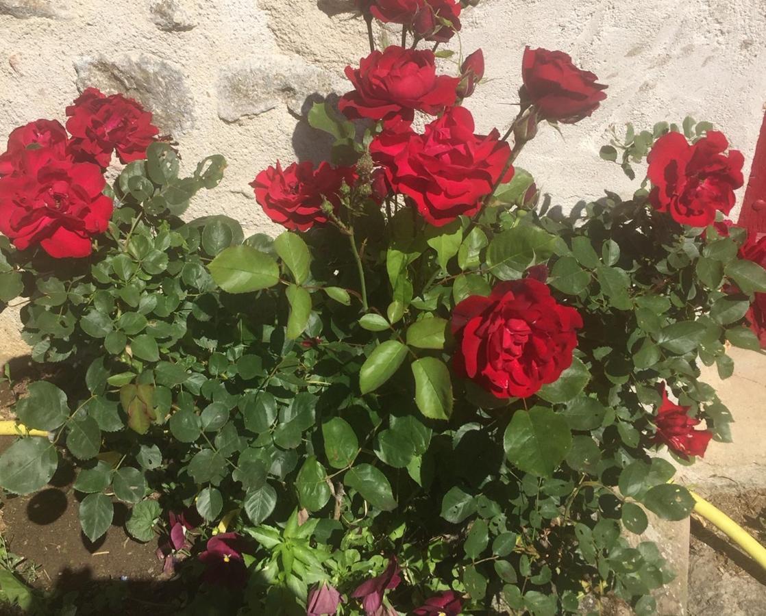 Les Maitres Sonneurs Bed & Breakfast Huriel Bagian luar foto