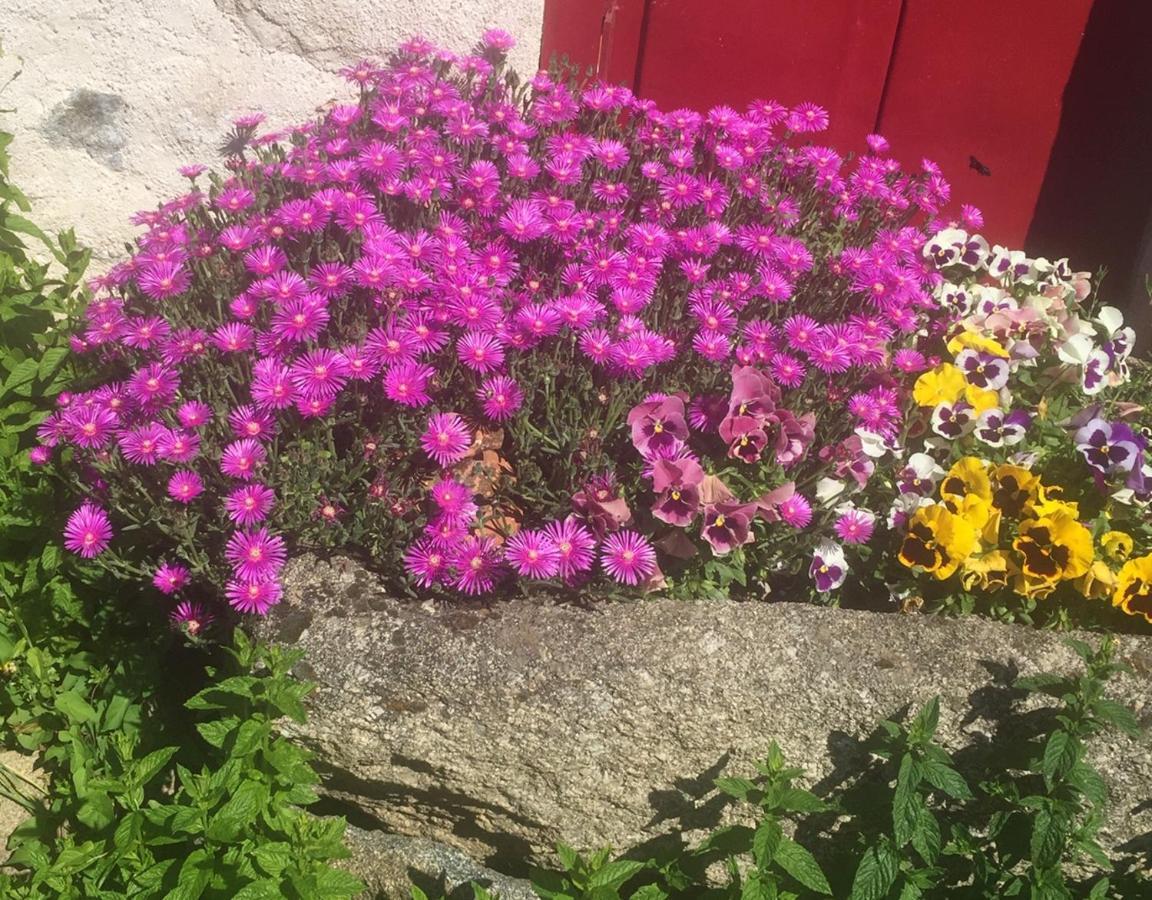 Les Maitres Sonneurs Bed & Breakfast Huriel Bagian luar foto